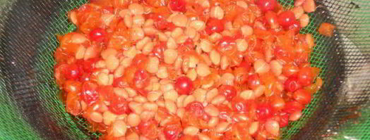 кисель из калины. Шаг 5