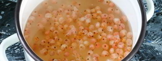 кисель из кукурузного крахмала. Шаг 10