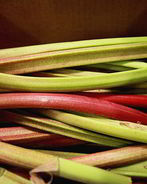 Кисель из ревеня