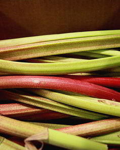 Кисель из ревеня