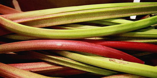 Кисель из ревеня