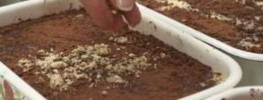 кисель молочный. Шаг 9