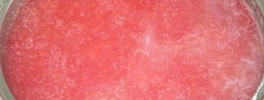 сливовый кисель. Шаг 12