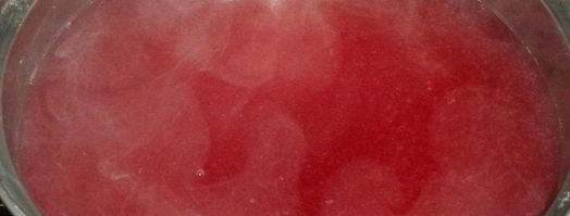 сливовый кисель. Шаг 9