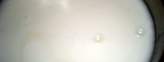 старорусский овсяный кисель. Шаг 5