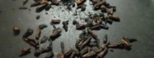 кофе из корней одуванчика. Шаг 4