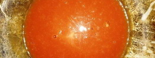 свиная вырезка в кофейной панировке с пастой. Шаг 3