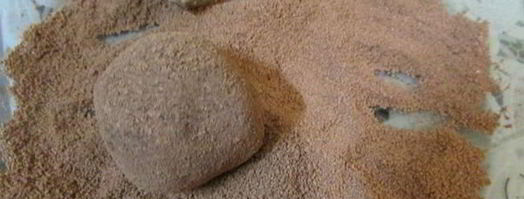 трюфели из белого шоколада с добавлением кофе. Шаг 7