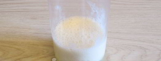 коктейль из фруктов с сывороткой. Шаг 8