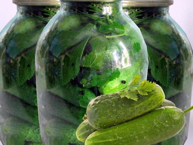 Рецепт консервированных малосольных хрустящих огурцов с водкой