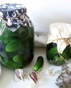 Огурцы квашеные с водкой