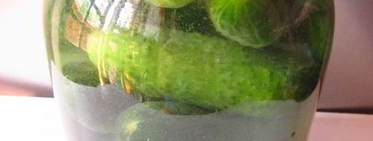 огурцы квашеные с водкой. Шаг 7