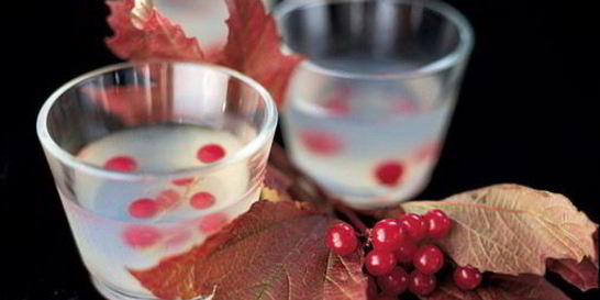 Желе с водкой и ягодами