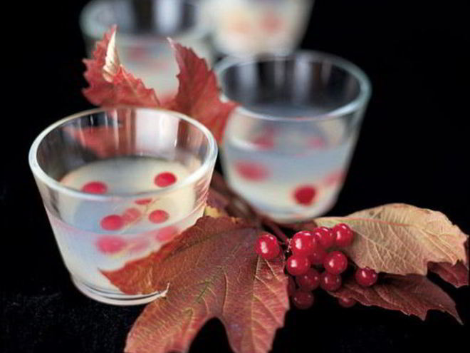 Рецепт желе с водкой и ягодами