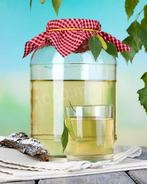 Березовый квас с корой березы