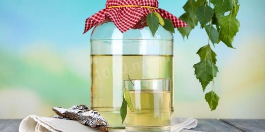 Березовый квас с корой березы