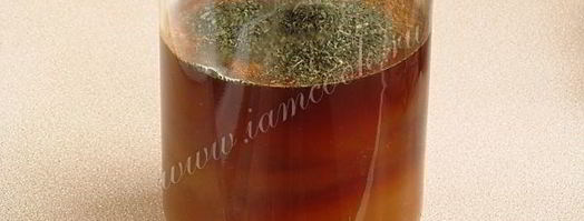 домашний квас из ржаного хлеба. Шаг 10