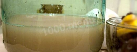 домашний медовый квас квас из ржаной муки. Шаг 7