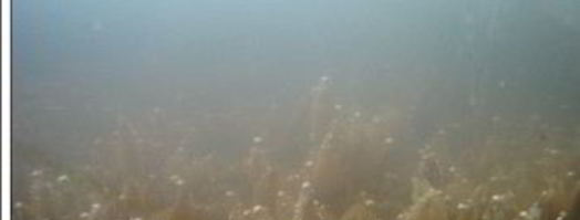 квас из овса. Шаг 6