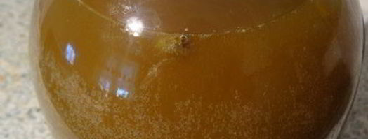 квас из сусла. Шаг 4