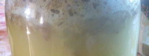 квас на ржаной закваске. Шаг 4