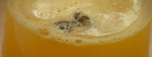 оранчеллоликер апельсино-мандариновый. Шаг 5