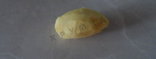 имбирный лимонад с яблоками и лимонами. Шаг 6