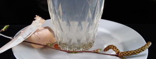 лимонад из березового сока. Шаг 6