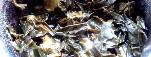 лимонад из зеленого чая. Шаг 5