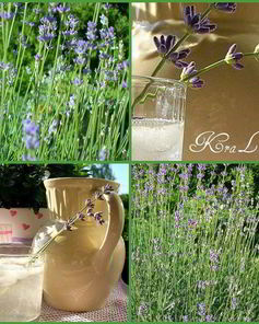 Лимонад с лавандой