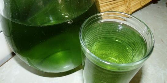 Тархуновый лимонад