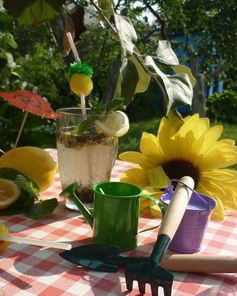 Дачный Мохито