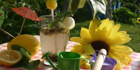 Дачный Мохито