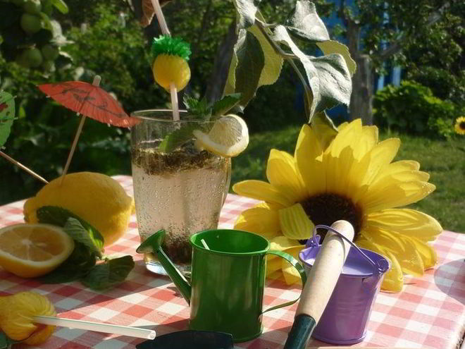 Рецепт дачного мохито