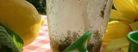 дачный мохито. Шаг 7