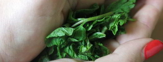 мохито ежевичный. Шаг 8