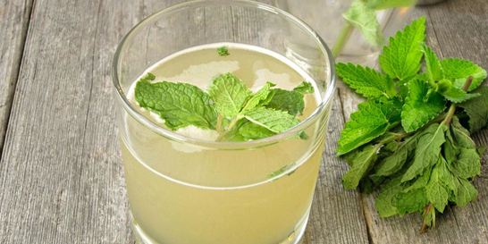 Мохито мятный сироп