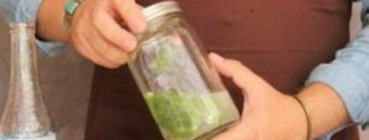 мохито с бакарди. Шаг 8