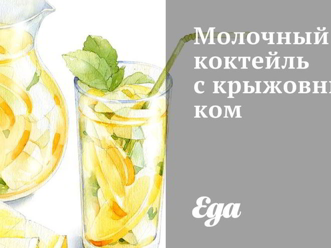 Рецепт молочного коктейля с крыжовником