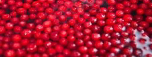 брусничный морс с медом. Шаг 3