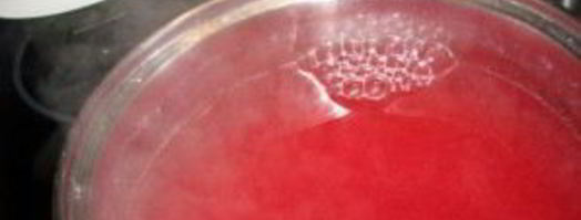 морс из замороженной смородины. Шаг 6