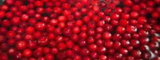 морс из замороженных ягод. Шаг 4