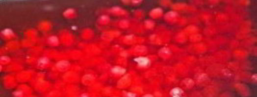 морс из замороженных ягод. Шаг 6