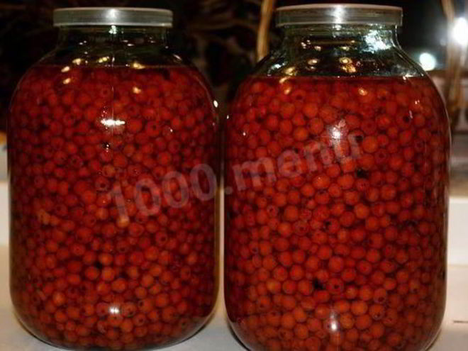 Рецепт черноплодной наливки из рябины