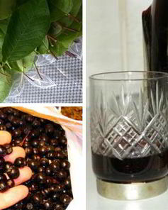 Наливка 100 листьев