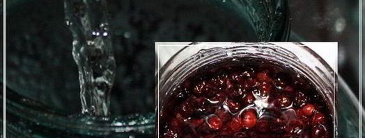 наливка черносмородиновая. Шаг 14