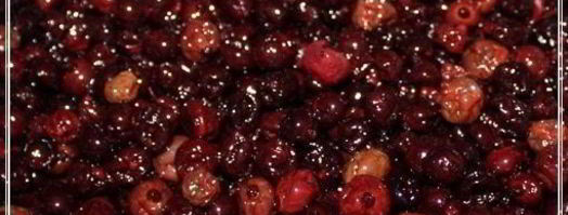 наливка черносмородиновая. Шаг 16