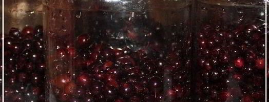 наливка черносмородиновая. Шаг 8