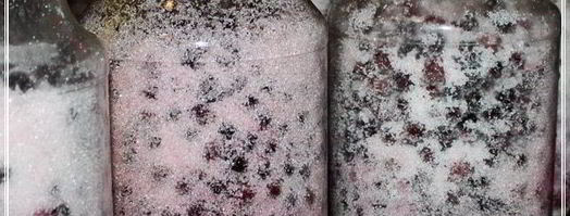 наливка черносмородиновая. Шаг 10