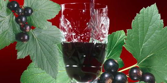 Наливка из черной смородины